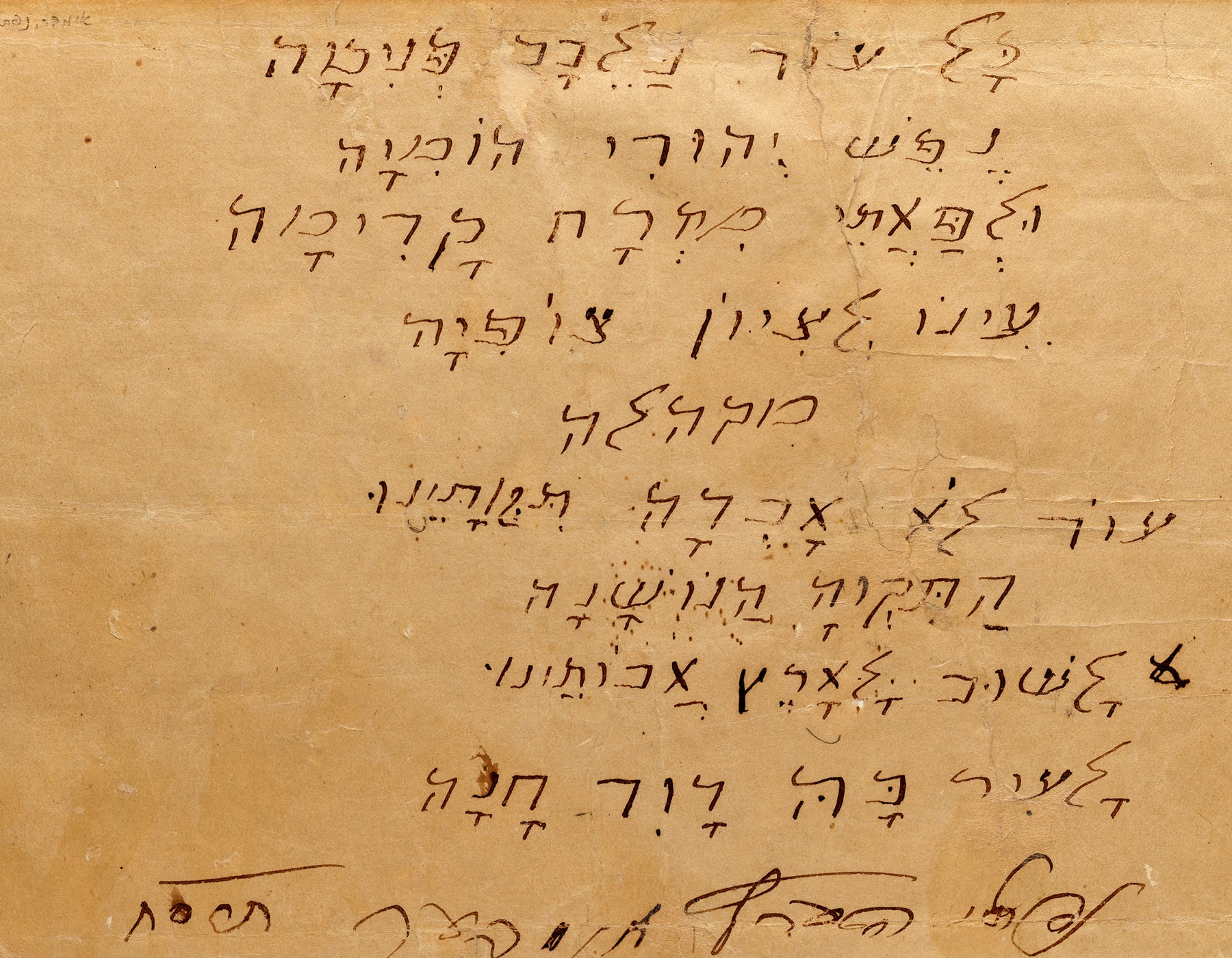 התקווה חוזרת הביתה