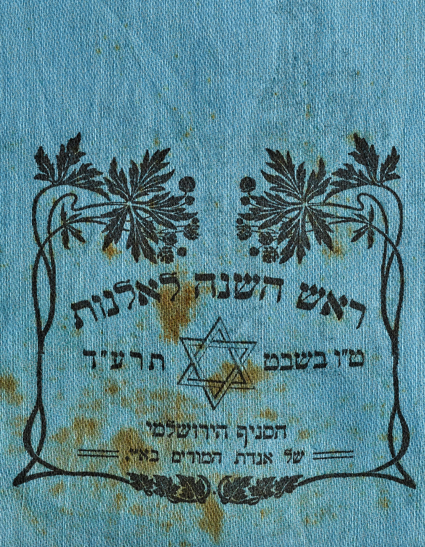 זַרעֵי מסורת חדשה
