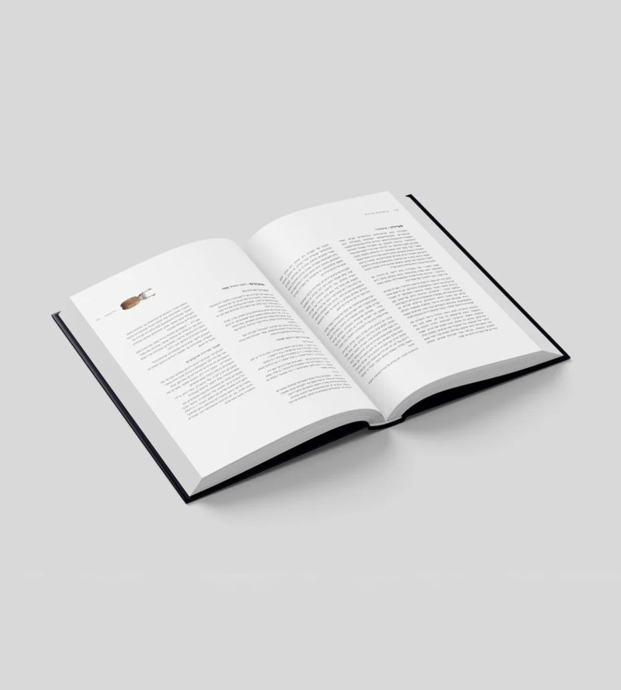 52 שבועות 52 דגים