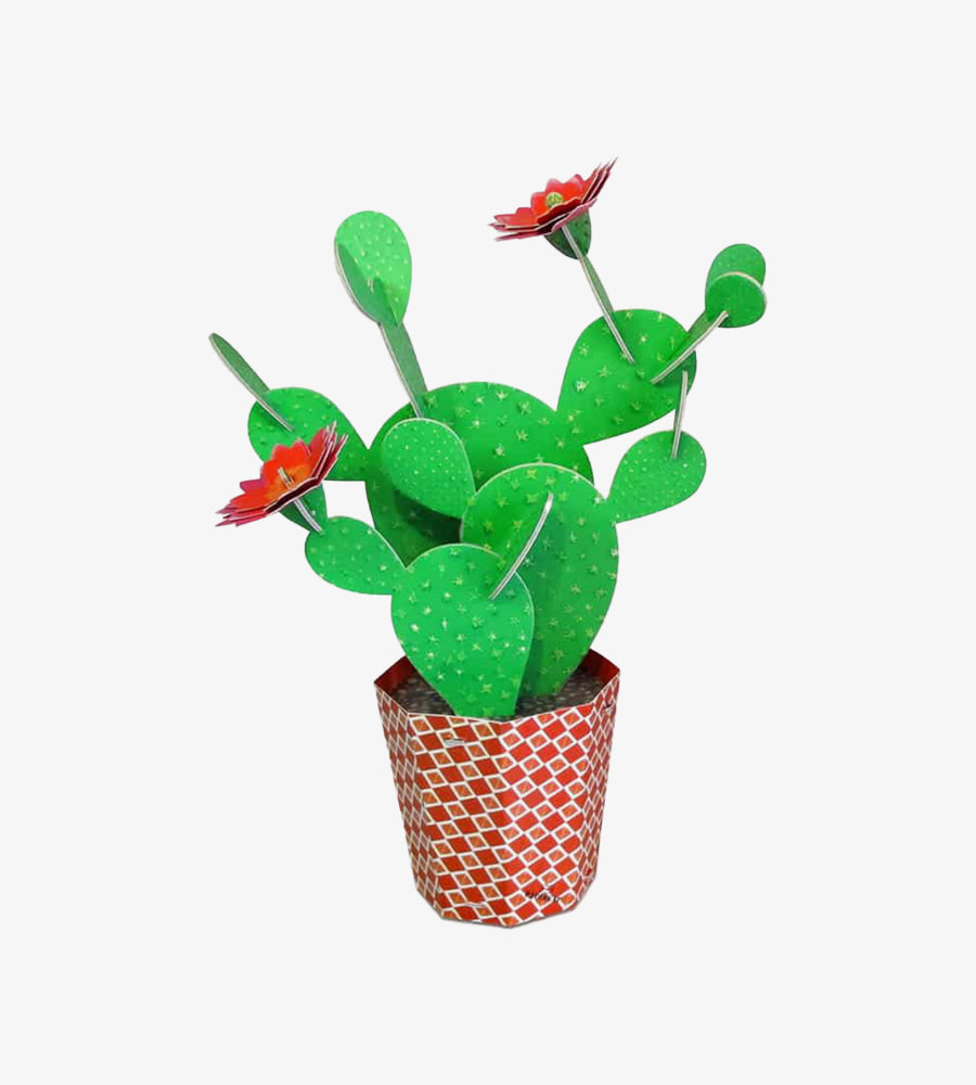 Prickly Pear Cactus Kit