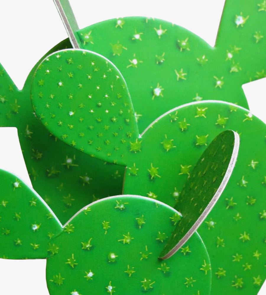 Prickly Pear Cactus Kit