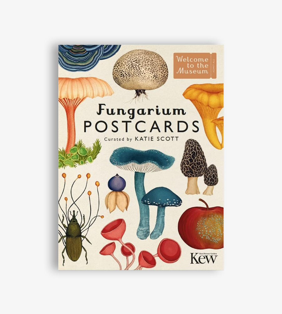 Fungarium Postcard box