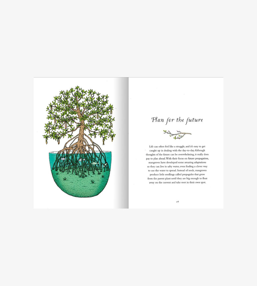 How to Be More Tree: Essential Life Lessons