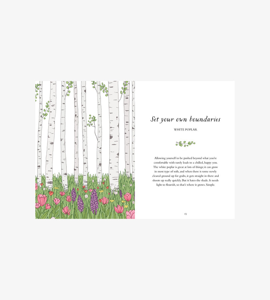 How to Be More Tree: Essential Life Lessons