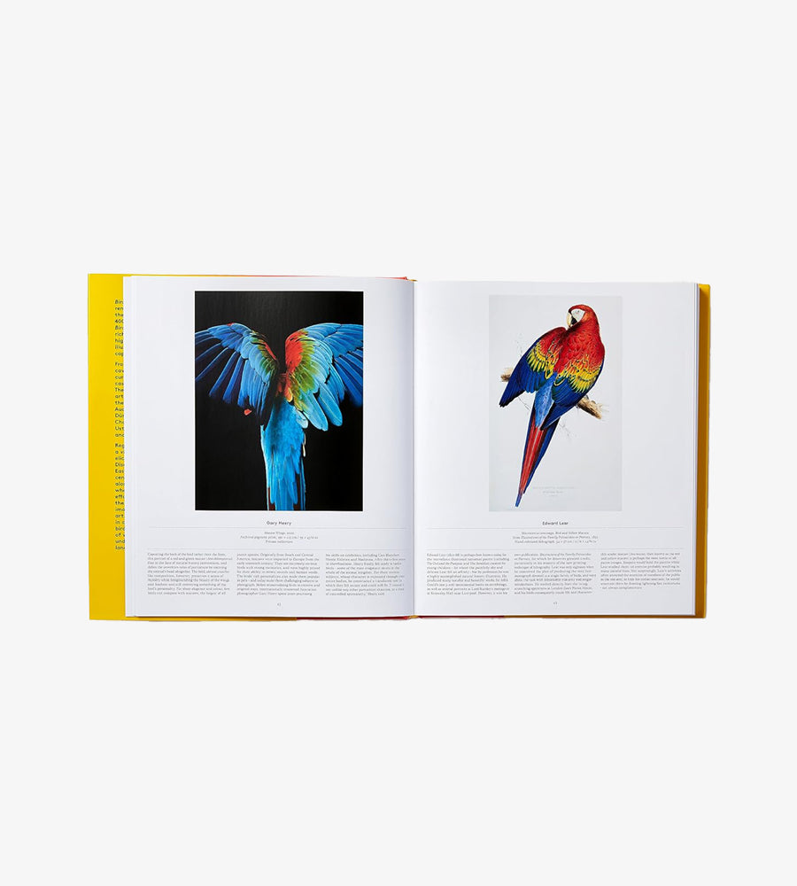 BIRD