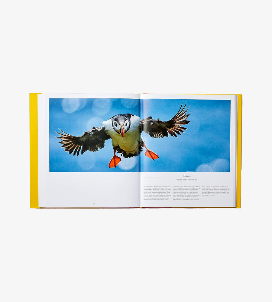 BIRD