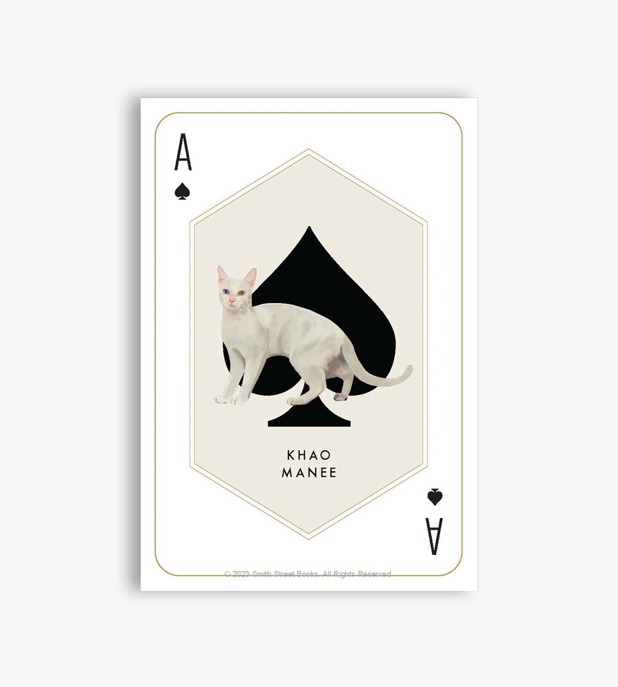 Cat & Dog Playing Cards Set