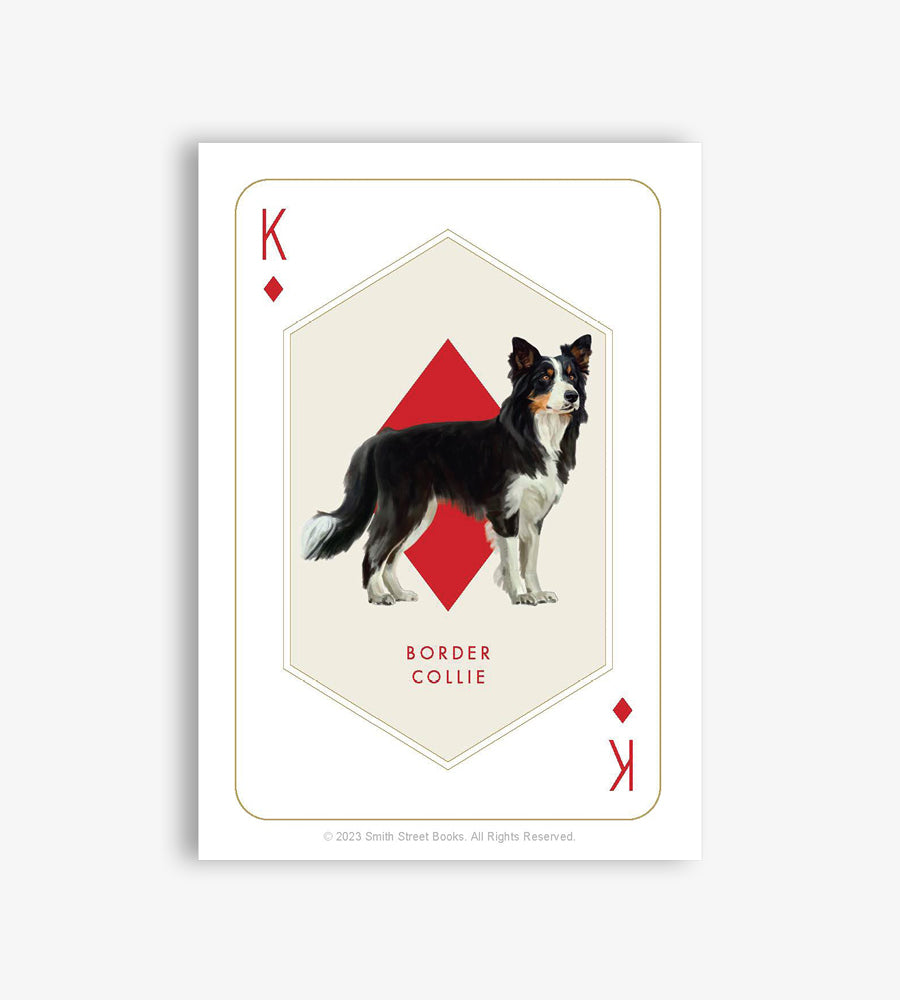Cat & Dog Playing Cards Set