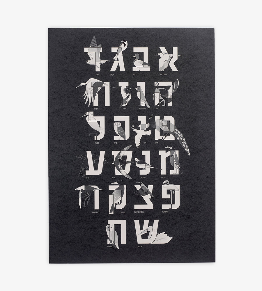 Hebrew Alphabet Birds Poster