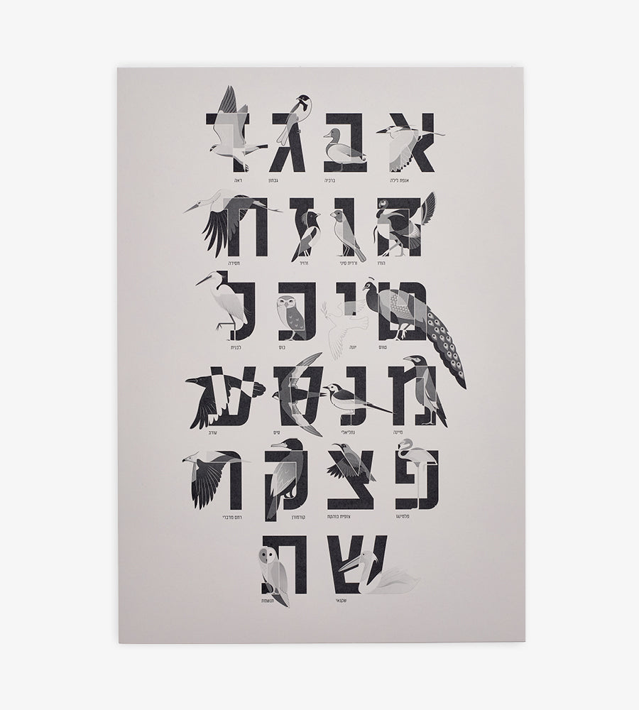 Hebrew Alphabet Birds Poster