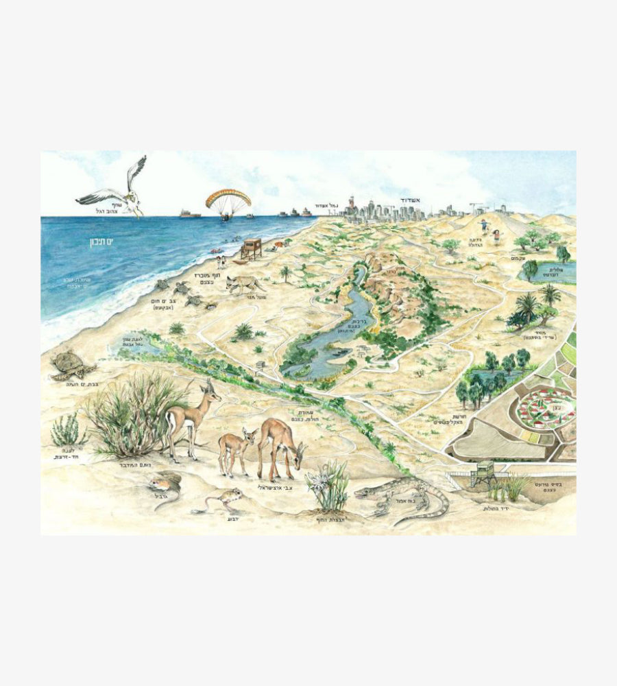 בארץ אהבתי - חולות ניצנים