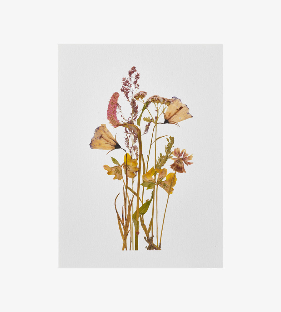 הדפס פרחי שדה 03 - A3