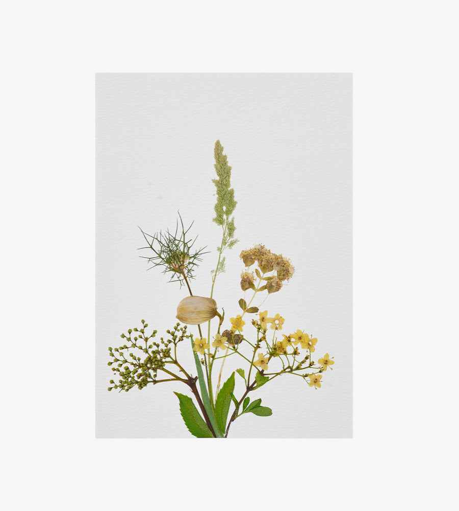 Wild Bouquet Print 03 - A4