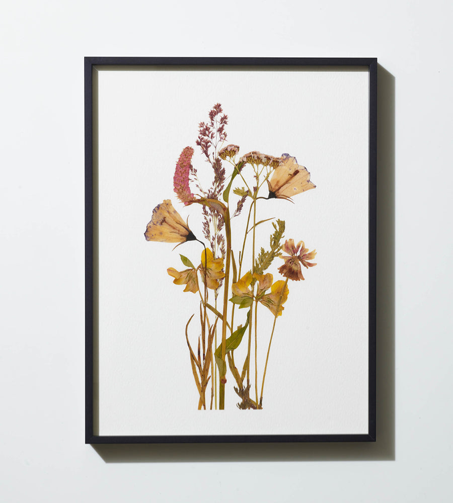 Field Flowers 03 - Framed Print - A3
