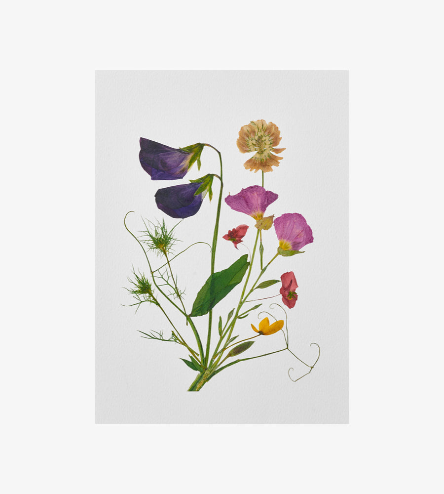 Field Flowers Print 01 - A3