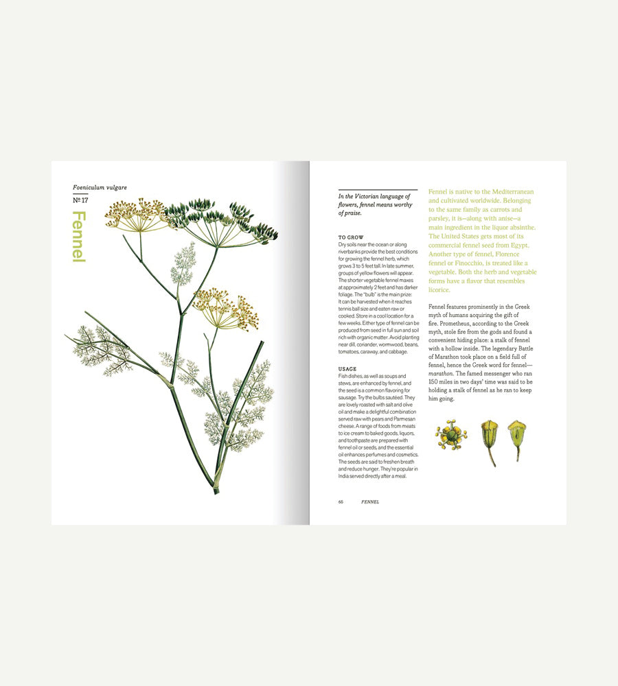 Herbal Handbook