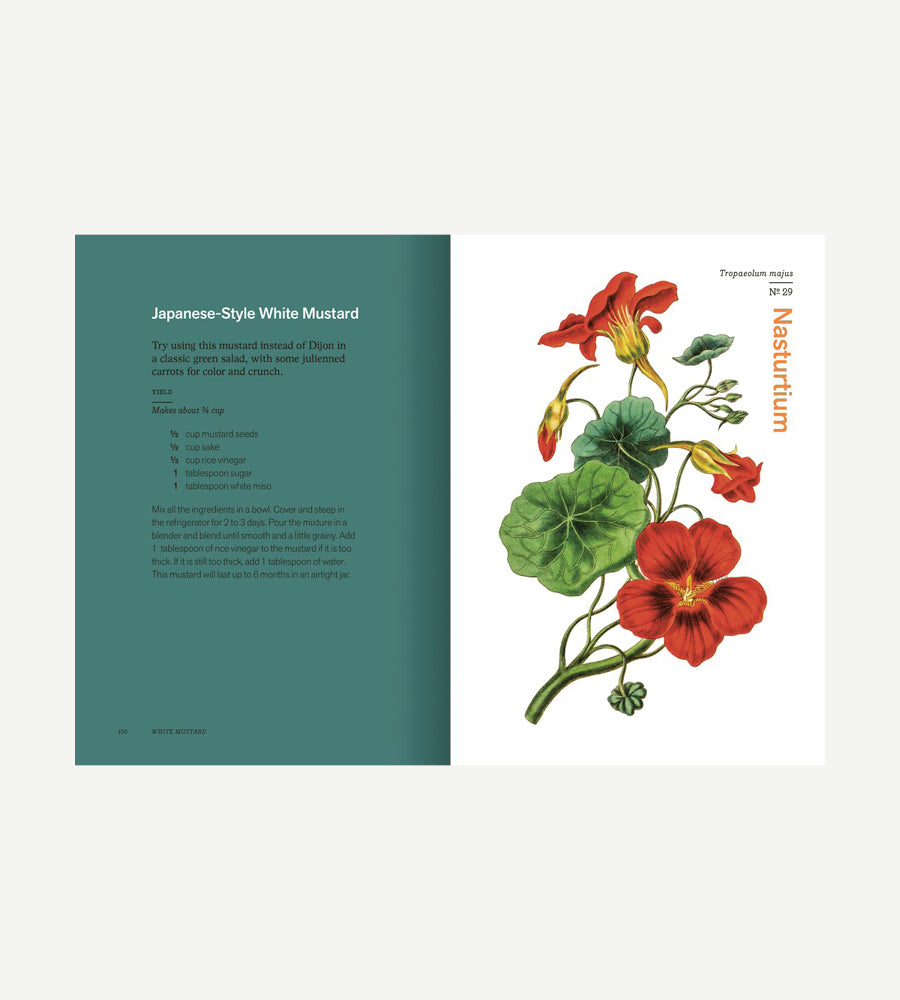 Herbal Handbook