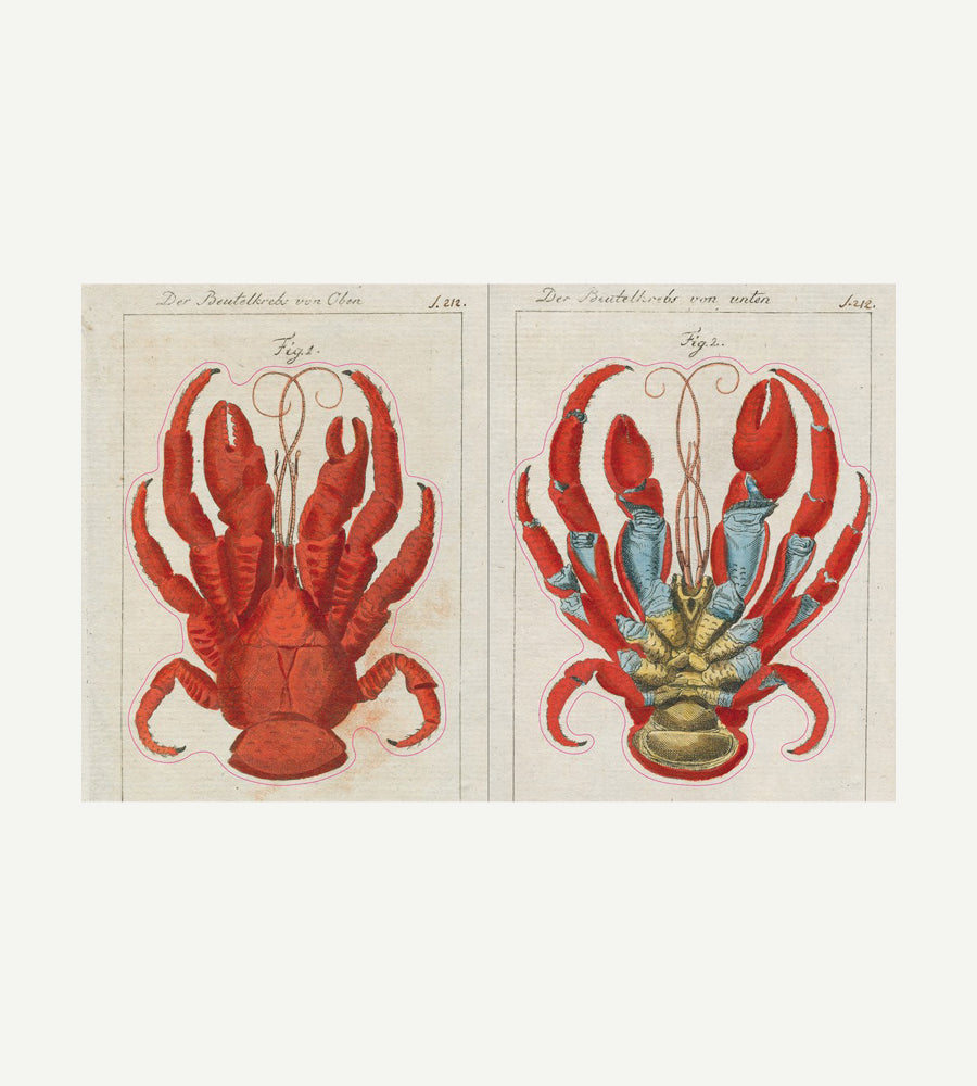 John Derian Sticker Book