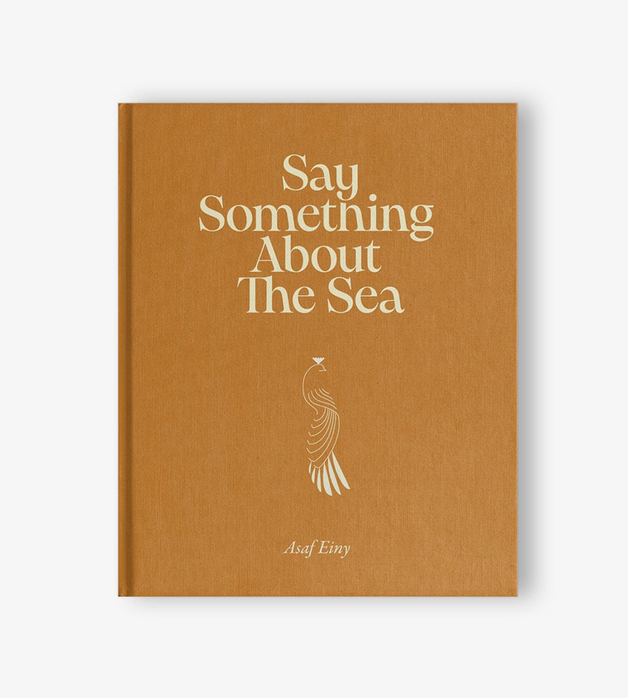 Asaf Einy - Say Something About The Sea