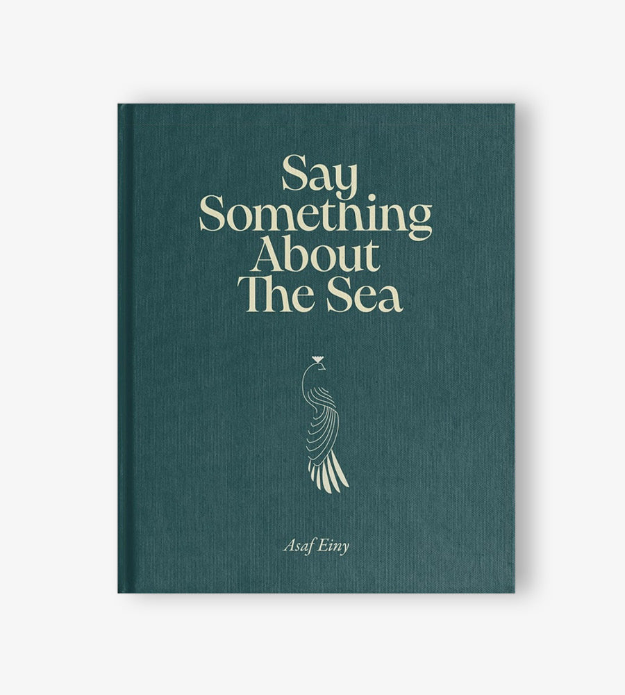 Asaf Einy - Say Something About The Sea