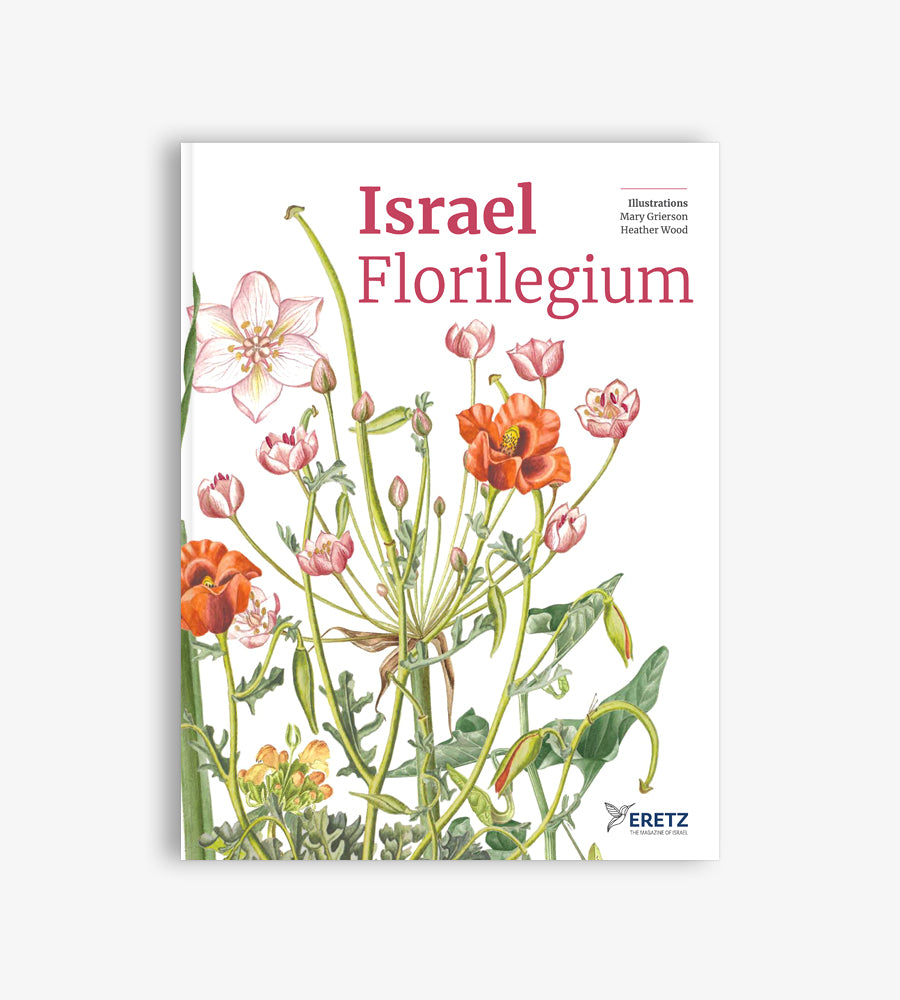 פלורילגיום ישראלי