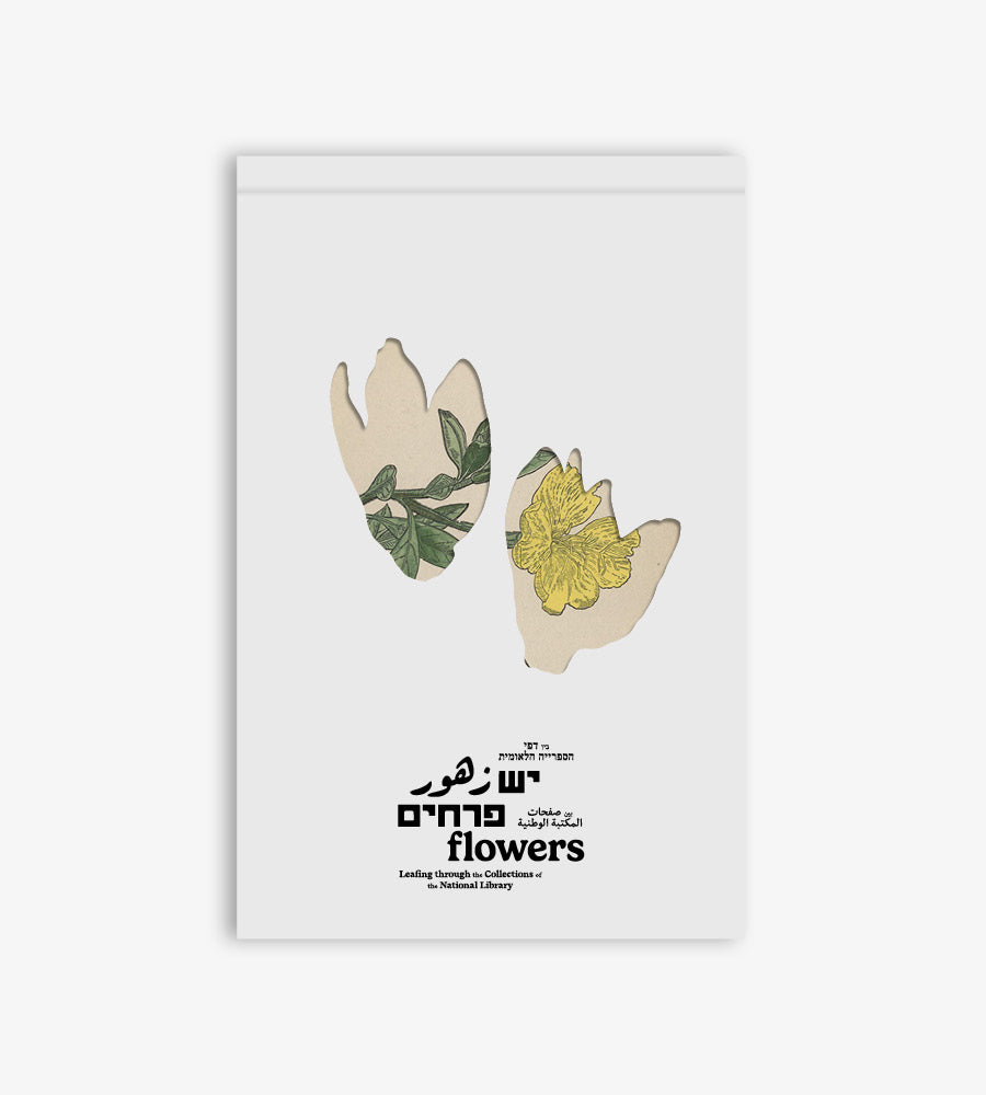 מארז גלויות ׳יש פרחים׳