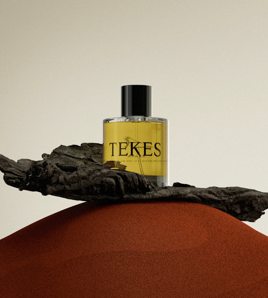 Tekes - Arava