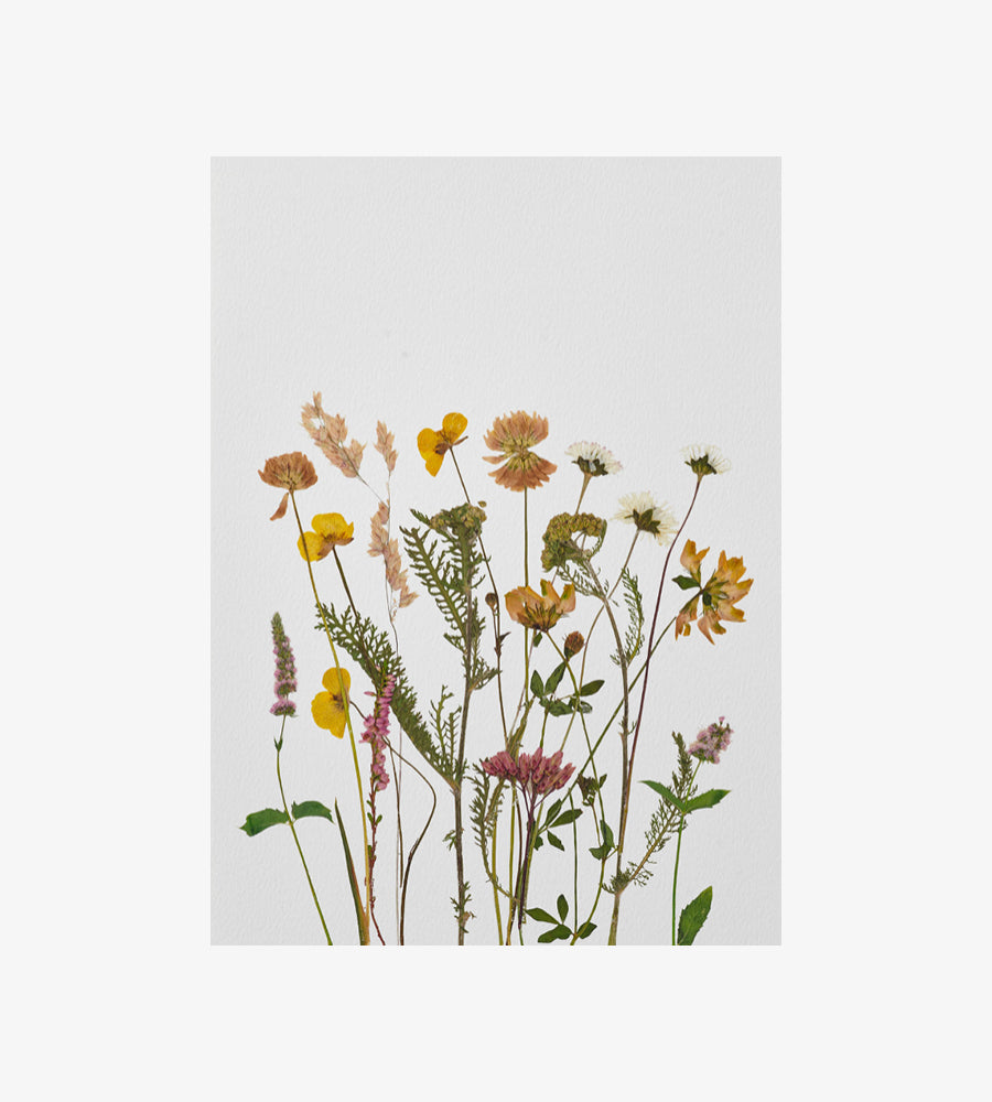 הדפס רוח ריחנית  - A3