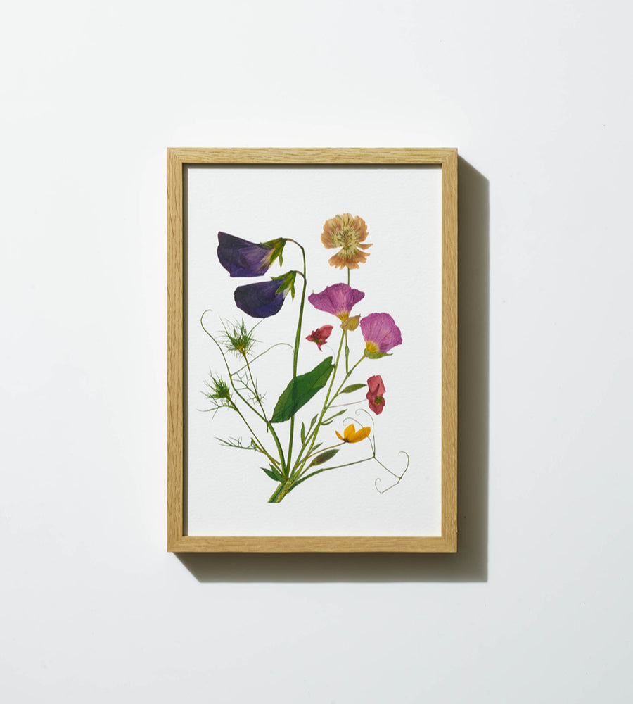 Field Flowers 01 - Framed Print - A4