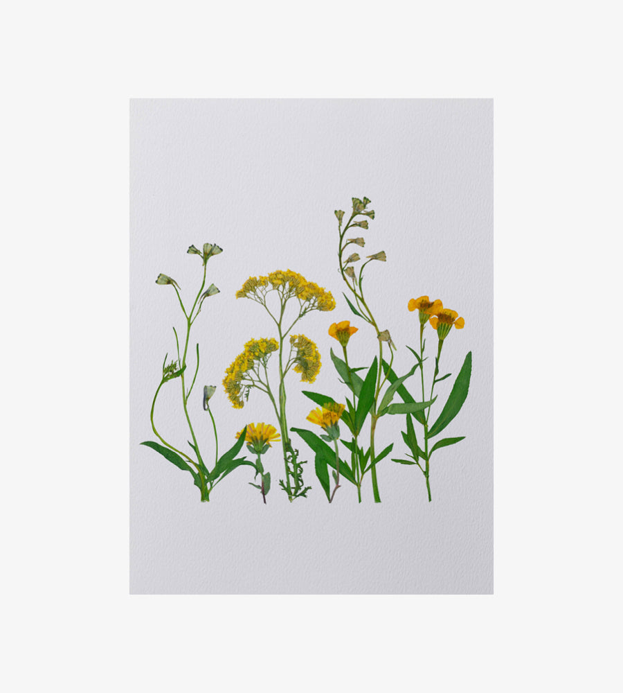 YELLOW IN WINTER PRINT - A3
